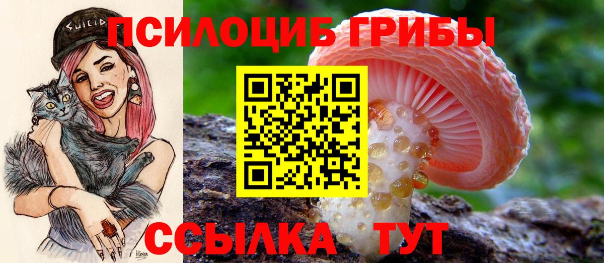 Галлюциногенные грибы GOLDEN TEACHER Дзержинский