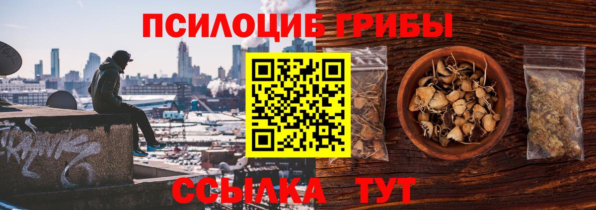 Дзержинский  Псилоцибиновые грибы Psilocybine cubensis  Галлюциногенные грибы прущие грибы  Вход с VPN 